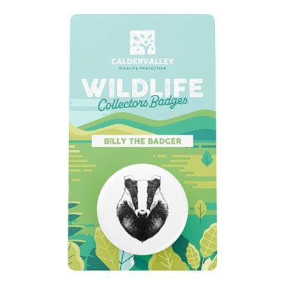 Custom printed backing card for a collector badge, featuring wildlife illustration and branding for Calder Valley Wildlife Protection with Billy the Badger design.