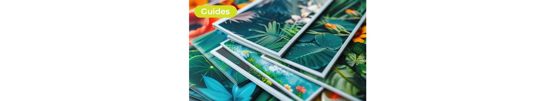 Turning Art Prints into Art Business: A Complete Guide