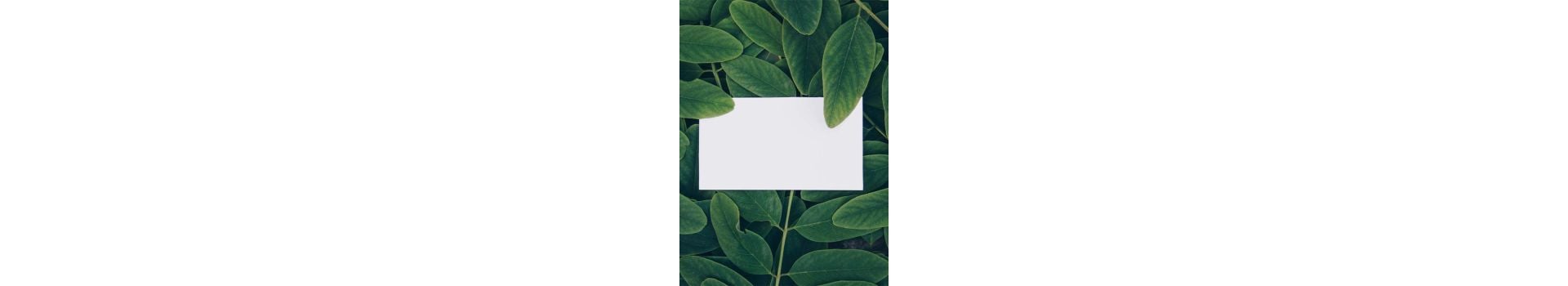 Sustainable Business Card Printing
