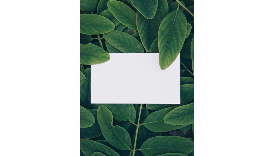 Sustainable Business Card Printing