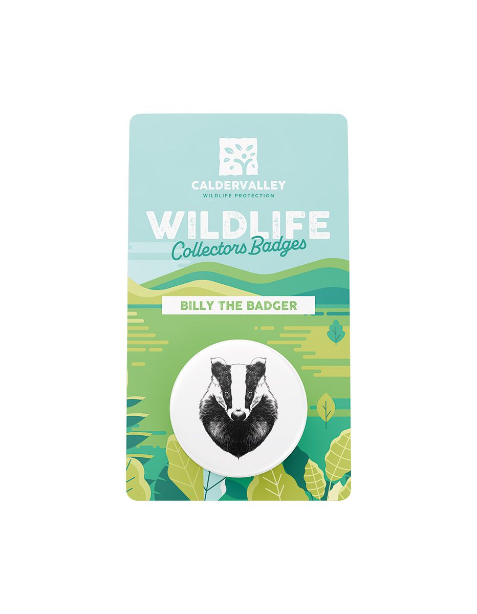 Backing Card Printing