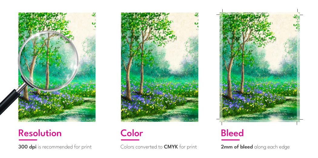 Artwork guide showing requirements resolution, color, and bleed.