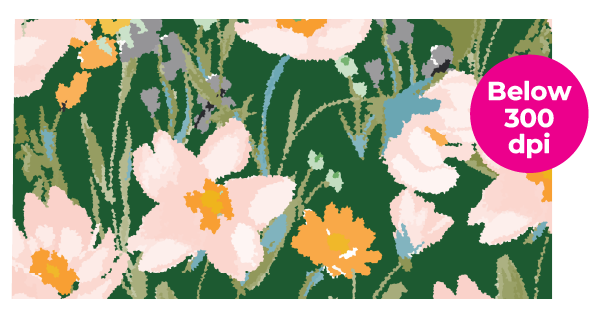 Below 300DPI image